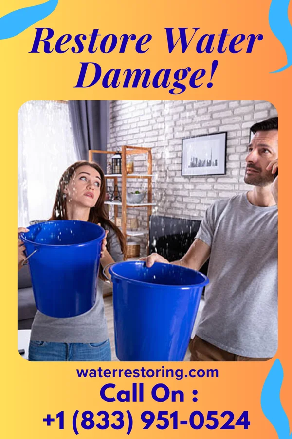 water restoration Rapid Water Removal & Associates Philippi