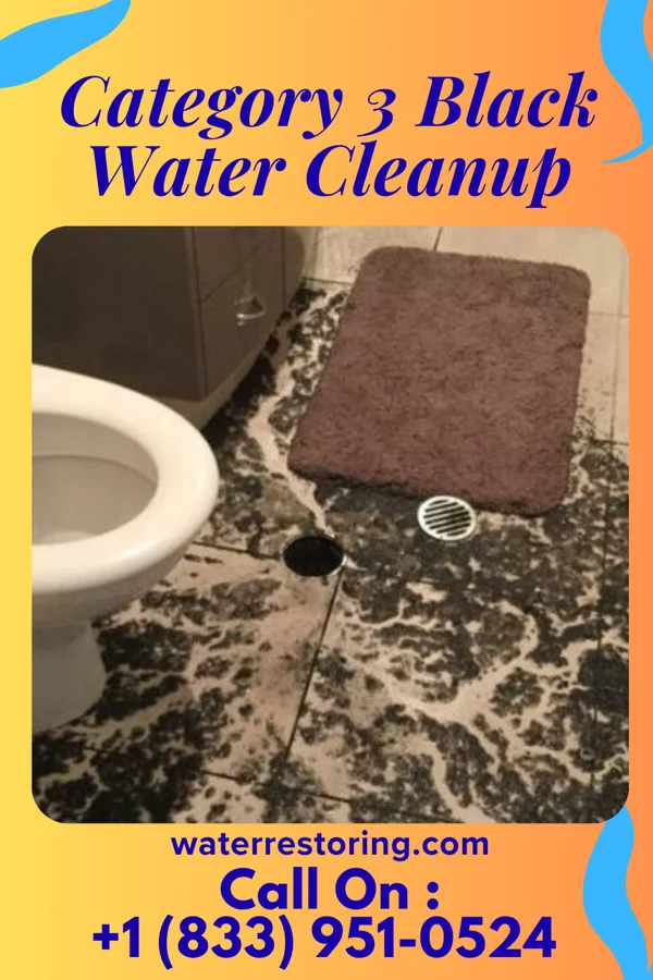 Category 3 Black Water Cleanup in Philippi, WV